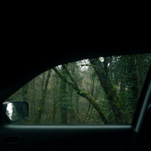 Få nemt og hurtigt skiftet din bilrude efter et stenslag